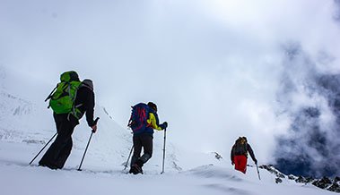 Life time course